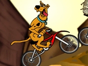 Scooby Doo Bisiklet Yarışı Oyunu
