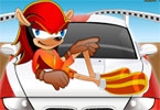  Sonic ve Arabası 