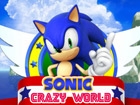 Sonic Çılgın Dünya 