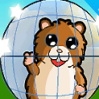 Hamster Topu