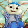 Hop Hop Tavşan