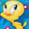 Tweety Renkli Safari