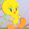 Tweety Tahteravalli